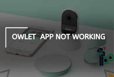 Owlet App Not Working on iPhone & Android? – [How to Fix?]
