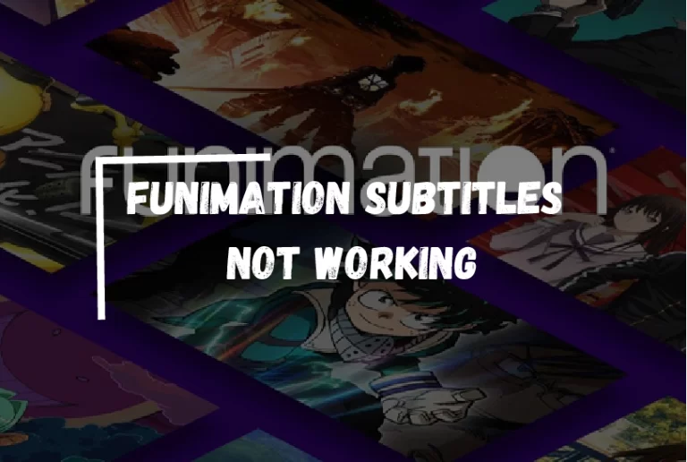 Funimation Subtitles Not Working? – [How to Fix?]